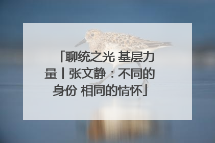 聊统之光 基层力量丨张文静：不同的身份 相同的情怀