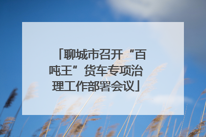 聊城市召开“百吨王”货车专项治理工作部署会议