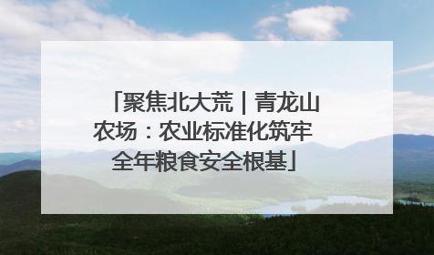 聚焦北大荒｜青龙山农场：农业标准化筑牢全年粮食安全根基