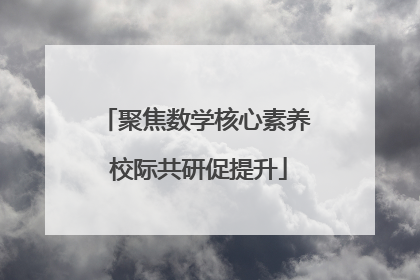 聚焦数学核心素养 校际共研促提升