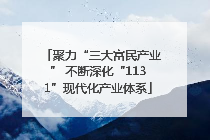 聚力“三大富民产业” 不断深化“1131”现代化产业体系