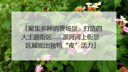 聚集多种消费场景、打造四大主题街区……漯河河上街景区展现出独特“夜”活力
