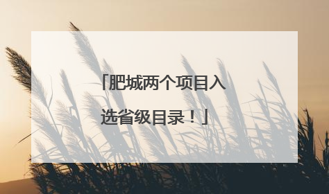 肥城两个项目入选省级目录！