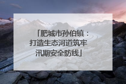 肥城市孙伯镇：打造生态河道筑牢汛期安全防线