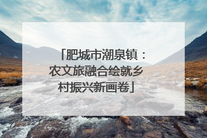 肥城市潮泉镇：农文旅融合绘就乡村振兴新画卷
