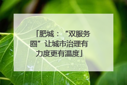 肥城：“双服务圈”让城市治理有力度更有温度