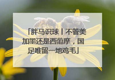 胖马识球丨不管美加墨还是西葡摩，国足唯留一地鸡毛