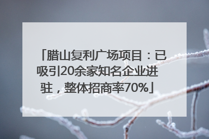 腊山复利广场项目：已吸引20余家知名企业进驻，整体招商率70%