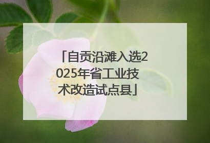 自贡沿滩入选2025年省工业技术改造试点县