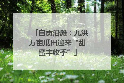 自贡沿滩：九洪万亩瓜田迎来“甜蜜丰收季”