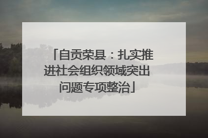 自贡荣县：扎实推进社会组织领域突出问题专项整治