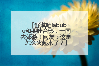 舒淇晒labubu和哭娃合影：一同去郊游！网友：这是怎么火起来了？