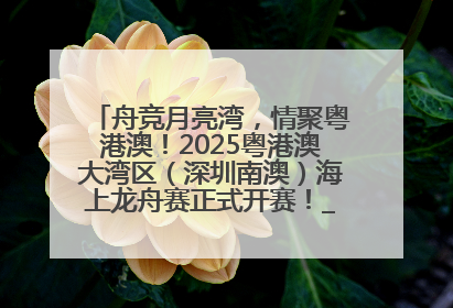 舟竞月亮湾，情聚粤港澳！2025粤港澳大湾区（深圳南澳）海上龙舟赛正式开赛！_深圳新闻网