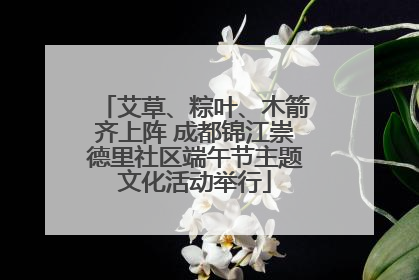 艾草、粽叶、木箭齐上阵 成都锦江崇德里社区端午节主题文化活动举行