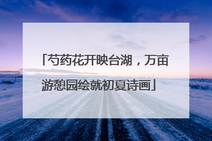 芍药花开映台湖，万亩游憩园绘就初夏诗画
