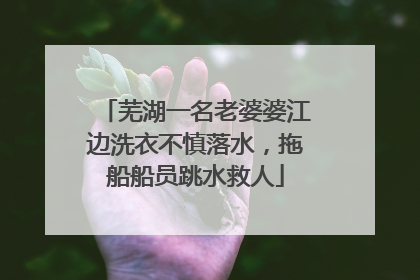 芜湖一名老婆婆江边洗衣不慎落水，拖船船员跳水救人