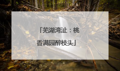 芜湖湾沚：桃香满园醉枝头