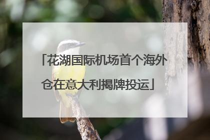 花湖国际机场首个海外仓在意大利揭牌投运