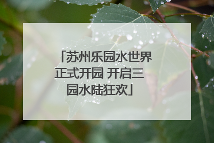 苏州乐园水世界正式开园 开启三园水陆狂欢
