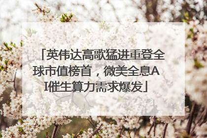 英伟达高歌猛进重登全球市值榜首，微美全息AI催生算力需求爆发