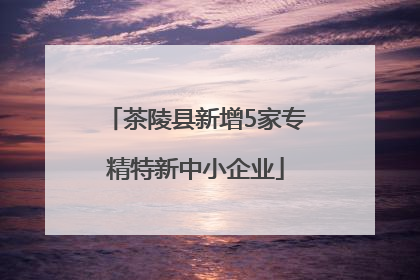 茶陵县新增5家专精特新中小企业