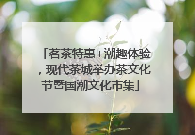 茗茶特惠+潮趣体验，现代茶城举办茶文化节暨国潮文化市集