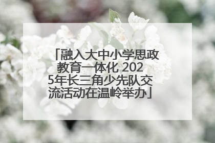 融入大中小学思政教育一体化 2025年长三角少先队交流活动在温岭举办