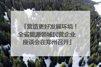 营造更好发展环境！全省能源领域民营企业座谈会在郑州召开