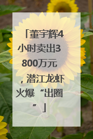 董宇辉4小时卖出3800万元，潜江龙虾火爆“出圈”