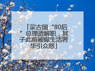 蒙古国“80后”总理遭解职，其子此前被曝生活奢华引众怒