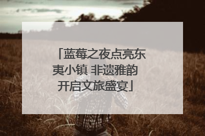 蓝莓之夜点亮东夷小镇 非遗雅韵开启文旅盛宴