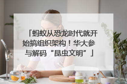 蚂蚁从恐龙时代就开始搞组织架构！华大参与解码“昆虫文明”