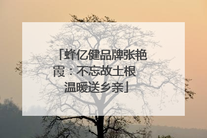 蜂亿健品牌张艳霞：不忘故土根 温暖送乡亲