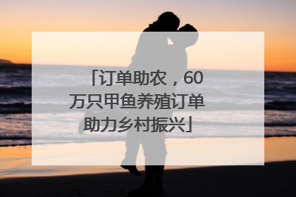 订单助农，60万只甲鱼养殖订单助力乡村振兴