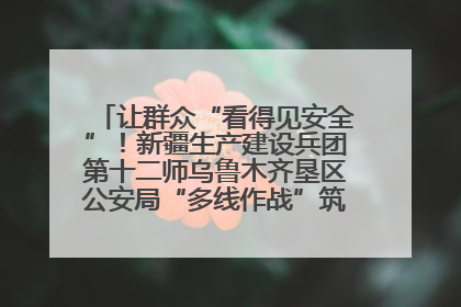 让群众“看得见安全”！新疆生产建设兵团第十二师乌鲁木齐垦区公安局“多线作战”筑牢辖区安全防线