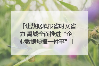 让数据填报省时又省力 禹城全面推进“企业数据填报一件事”