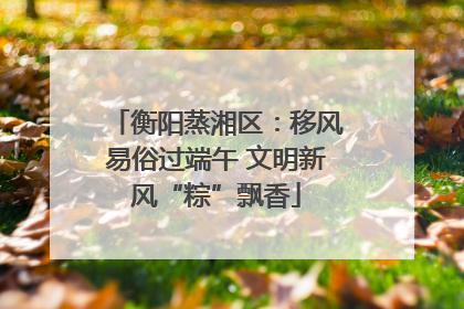 衡阳蒸湘区：移风易俗过端午 文明新风“粽”飘香