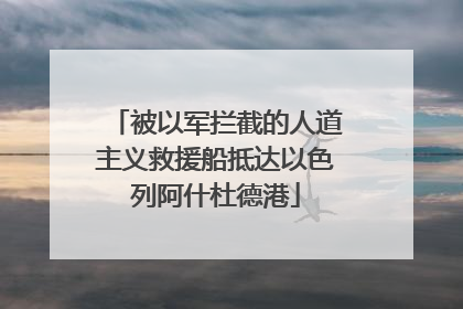被以军拦截的人道主义救援船抵达以色列阿什杜德港
