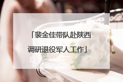裴金佳带队赴陕西调研退役军人工作