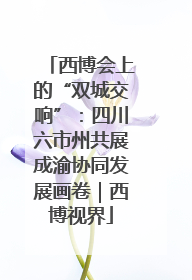 西博会上的“双城交响”：四川六市州共展成渝协同发展画卷｜西博视界