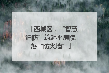 西城区：“智慧消防”筑起平房院落“防火墙”