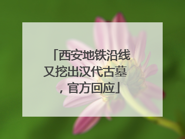 西安地铁沿线又挖出汉代古墓，官方回应