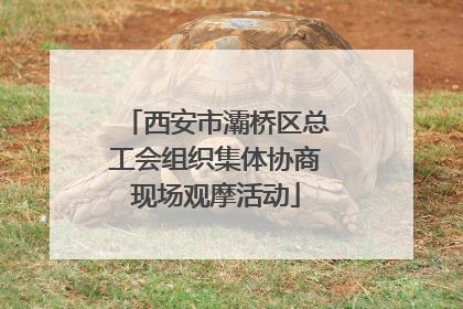 西安市灞桥区总工会组织集体协商现场观摩活动