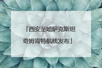 西安至哈萨克斯坦奇姆肯特航线发布