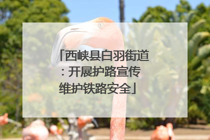 西峡县白羽街道：开展护路宣传 维护铁路安全