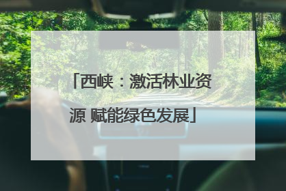 西峡：激活林业资源 赋能绿色发展
