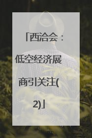 西洽会：低空经济展商引关注(2)