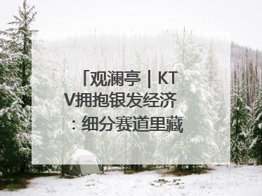 观澜亭｜KTV拥抱银发经济：细分赛道里藏着潜在需求
