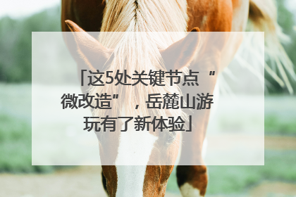 这5处关键节点“微改造”，岳麓山游玩有了新体验