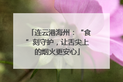 连云港海州：“食”刻守护，让舌尖上的烟火更安心